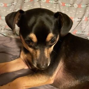 Meet your Posher, Teresa